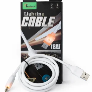 Data Cable Teslaa Lighting Cable 18w
