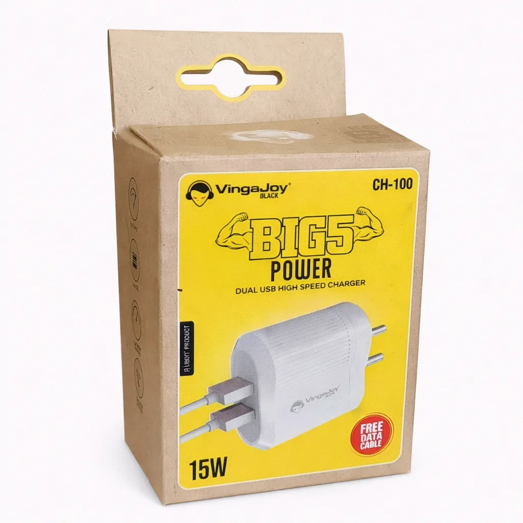 VINGAJOY BIG5 POWER CH-100 Dual USB Charger (15W)